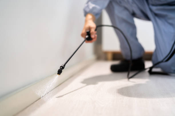 Licensed Pest Control service in Eureka, MT - Show Me Pest Control
