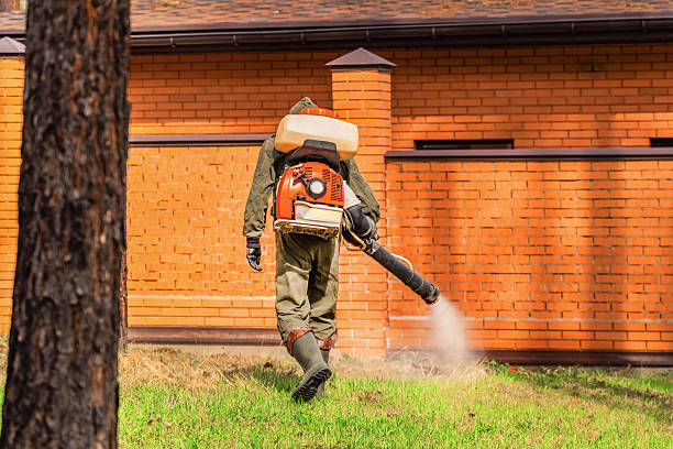 Bed Bug Clearance Verification and Documentation in Eureka